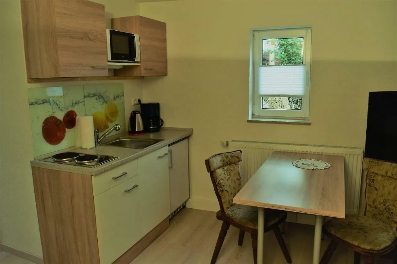 Apartment Ferienwohnung Seebachstr. Dresden